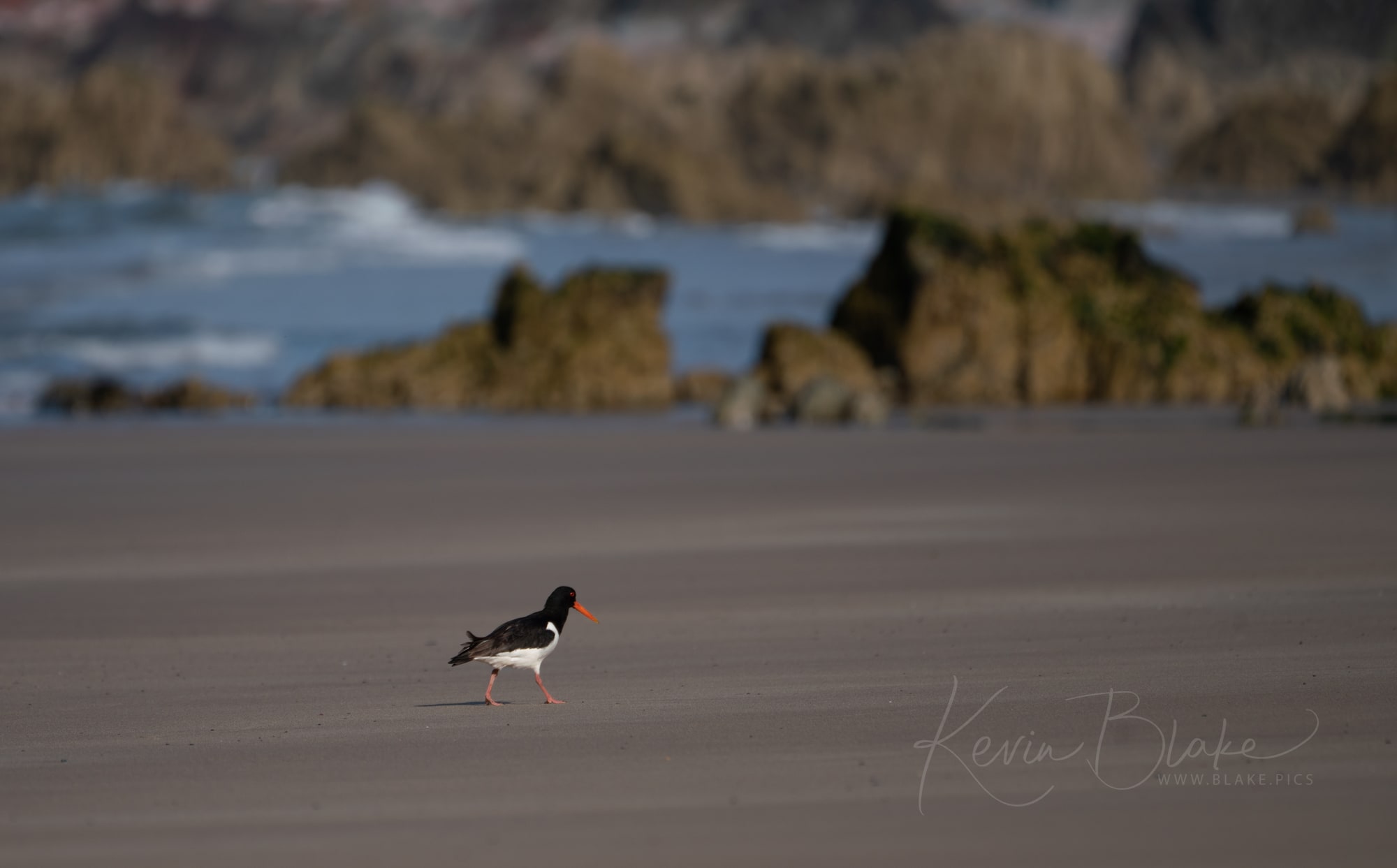 June Pembrokeshire 37