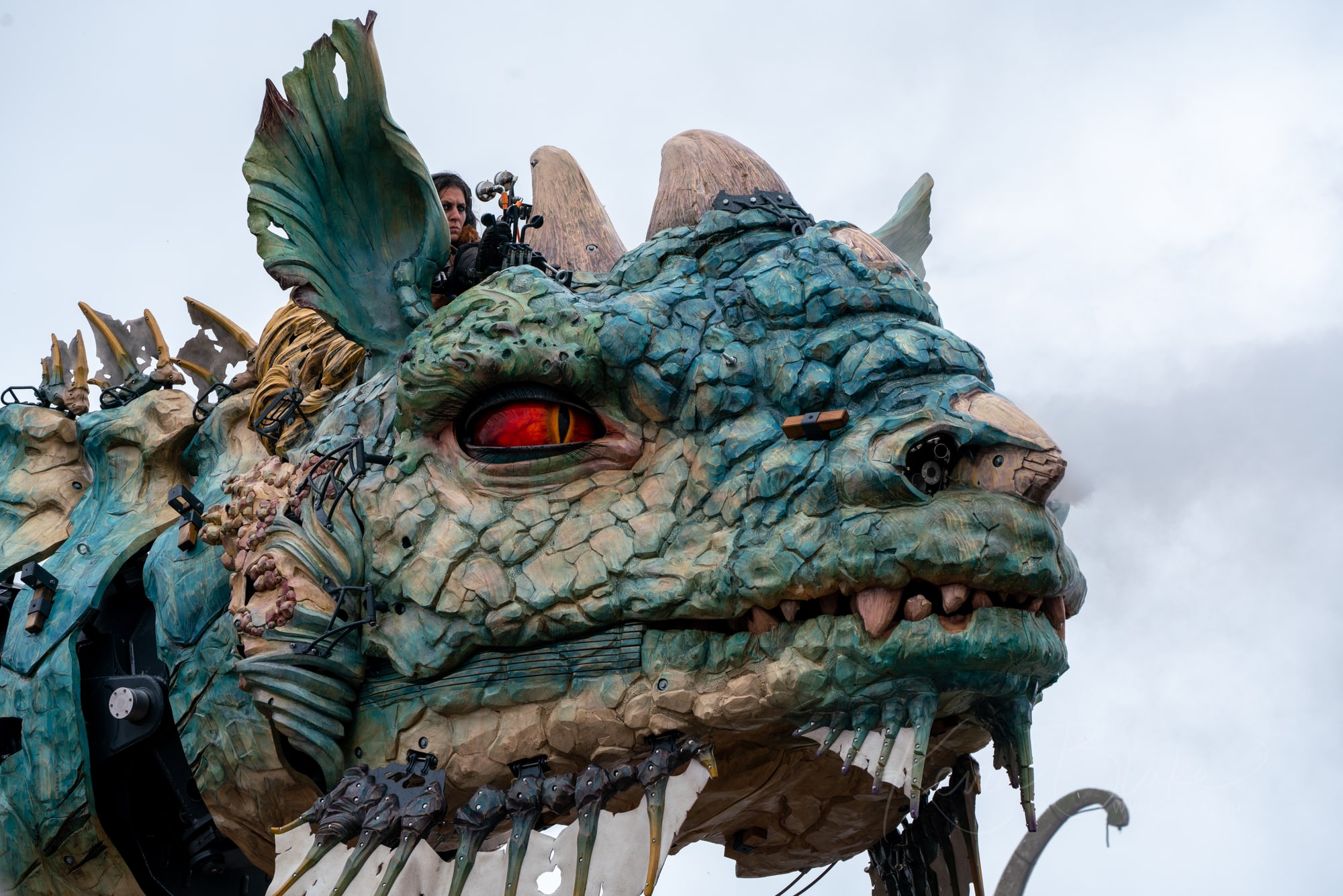 Calais Dragon 3