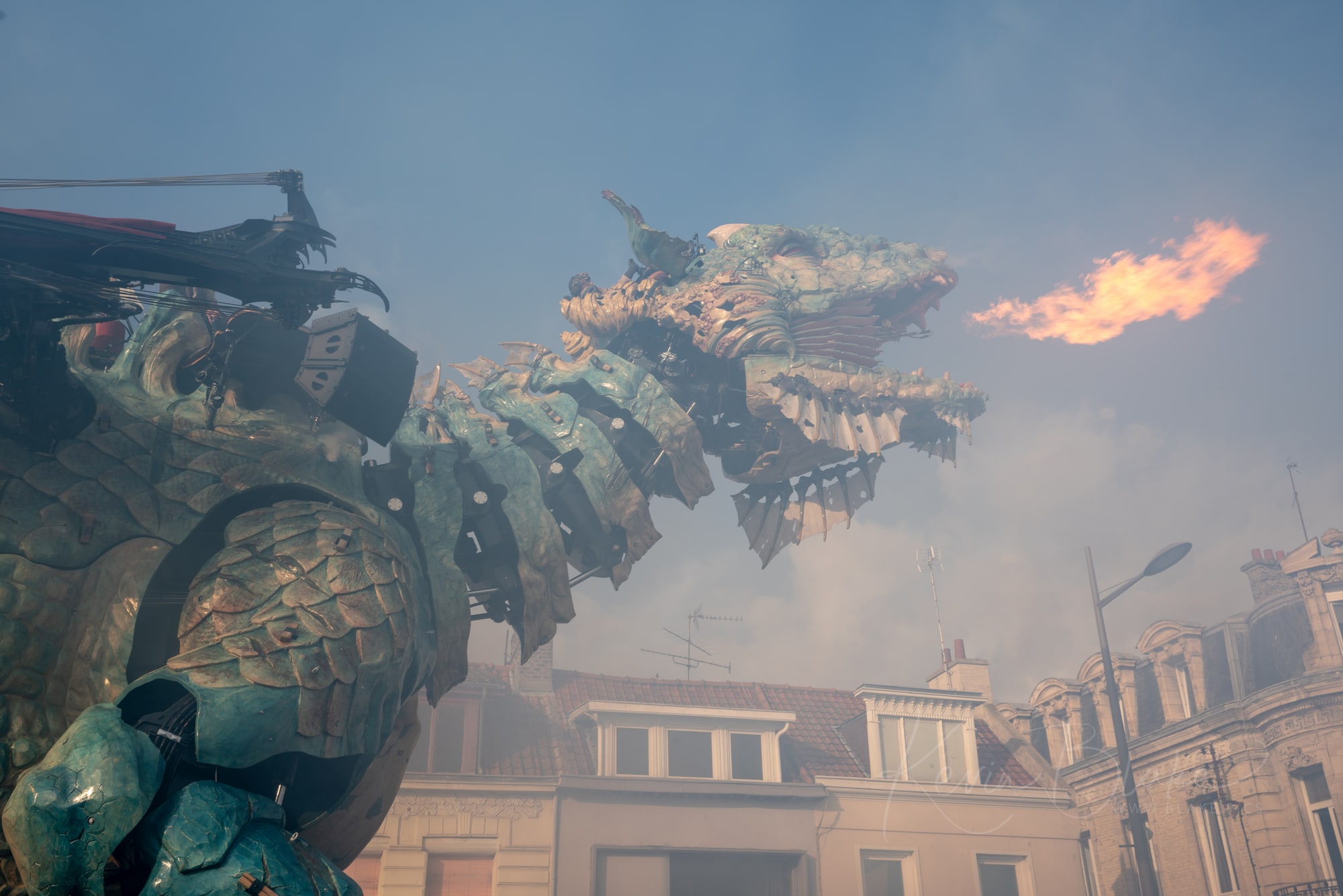 Calais Dragon 16