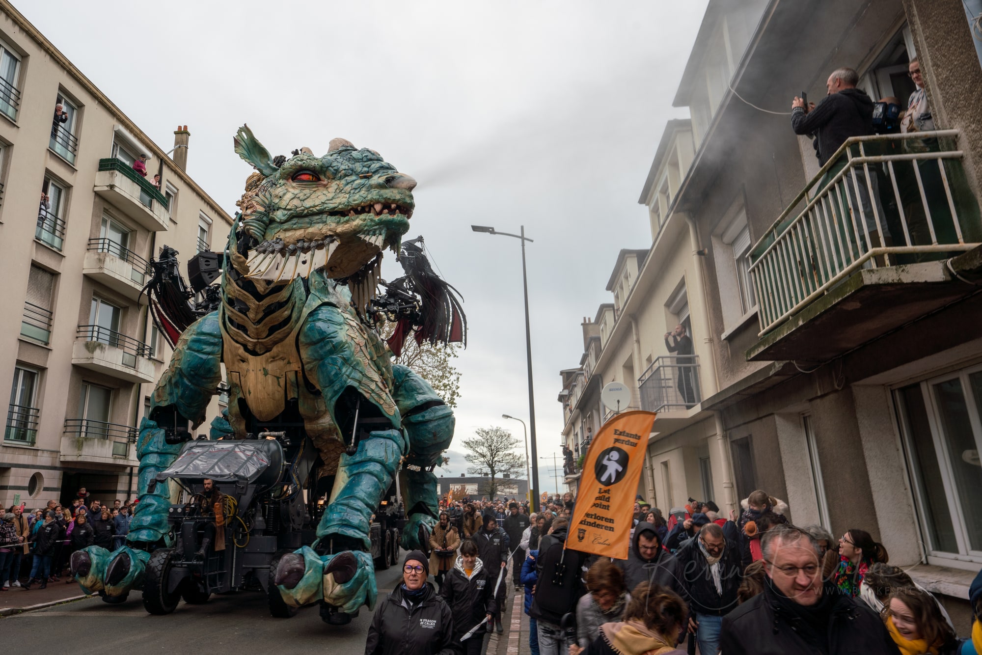 Calais Dragon 23