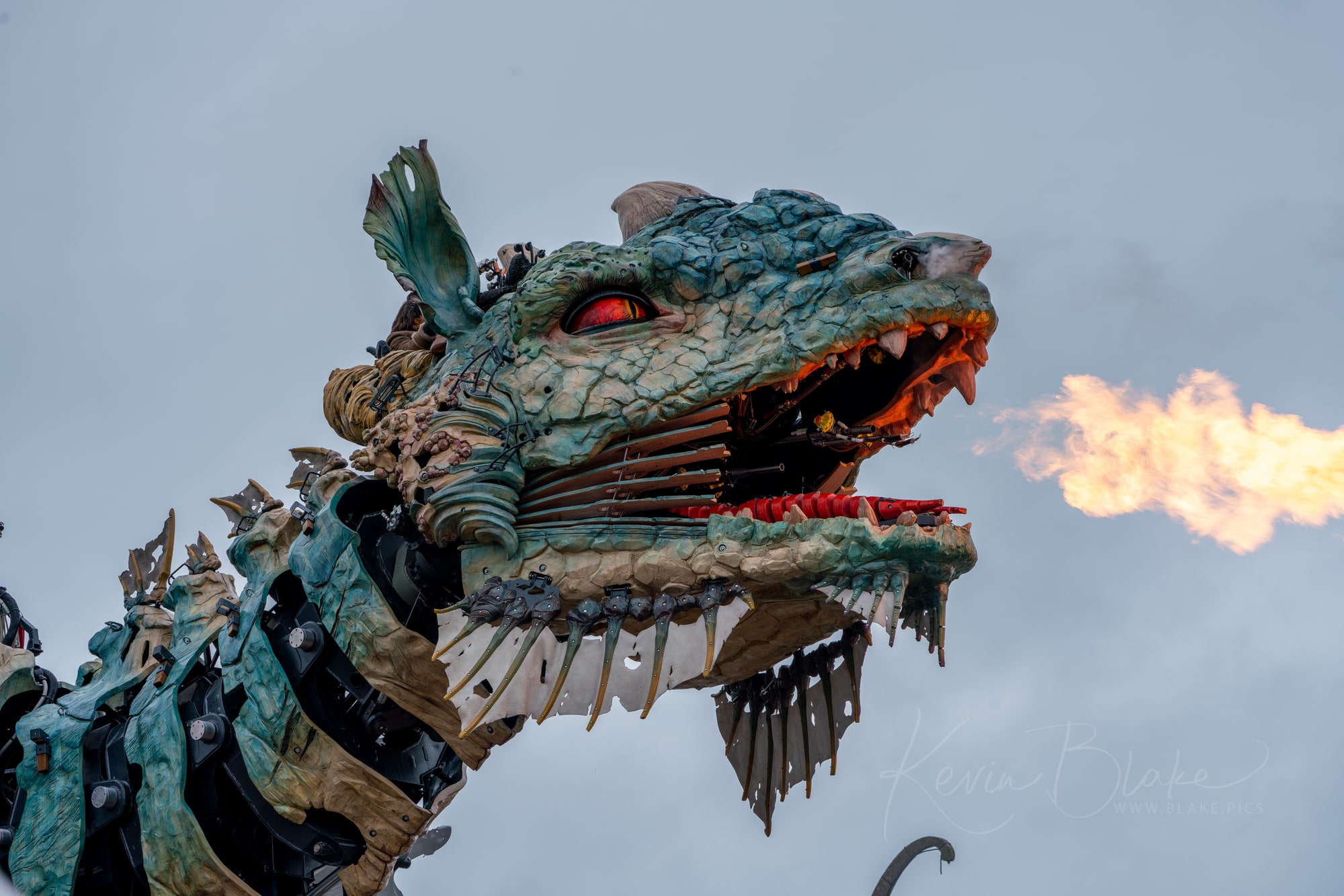 Calais Dragon 4