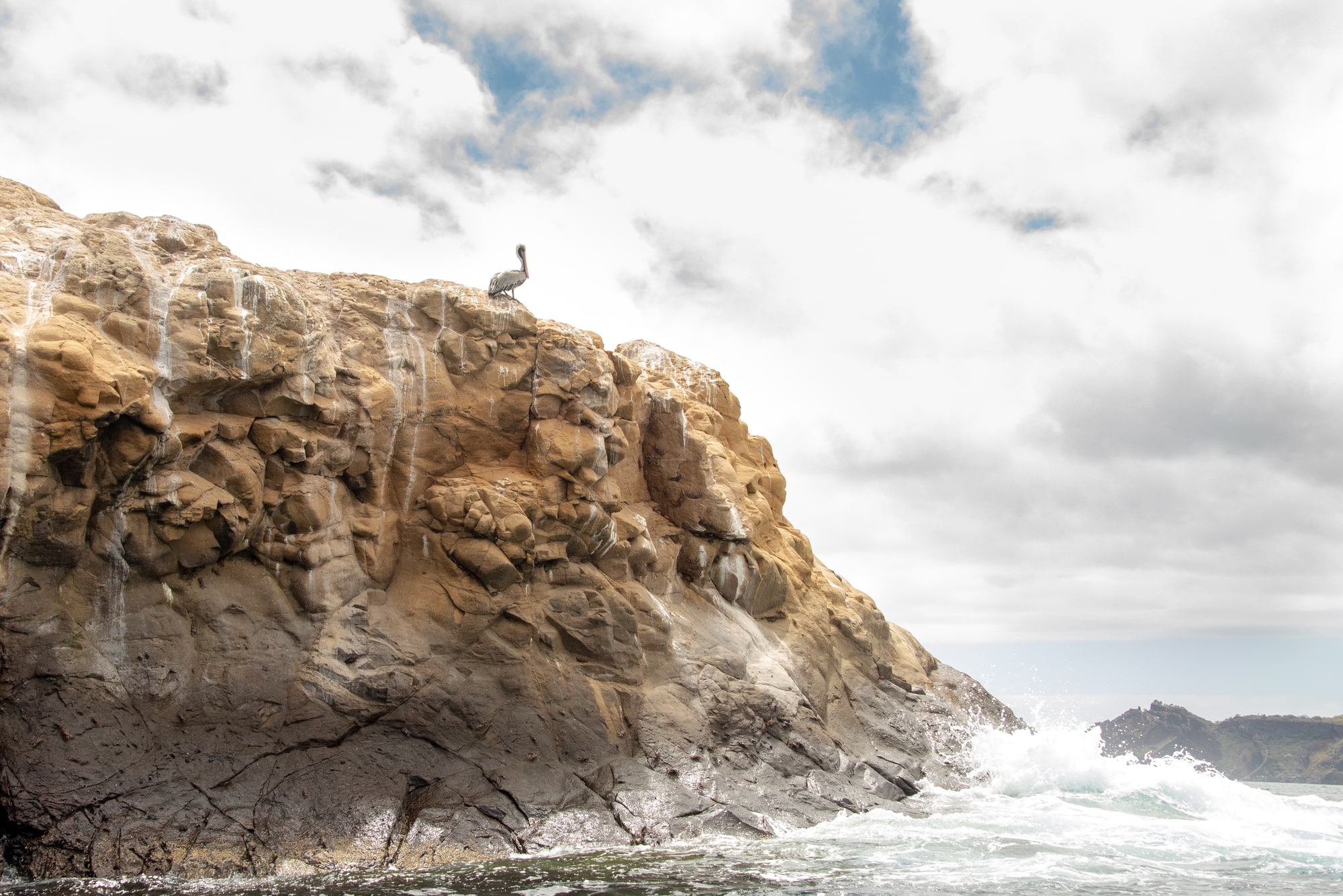 The Watchman