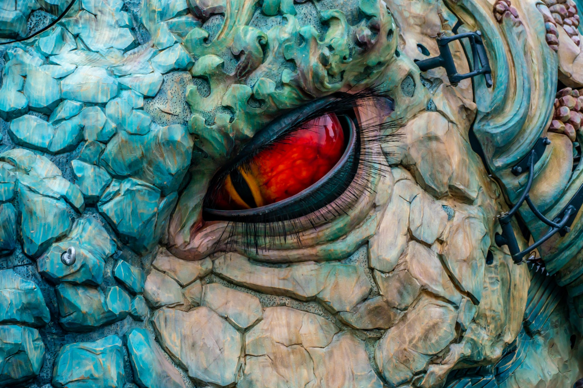 Calais Dragon 11