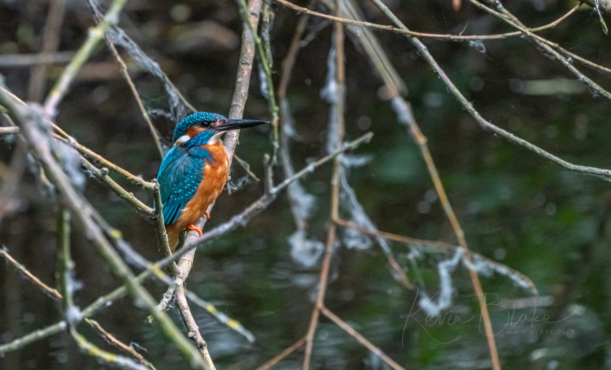 Rickmansworth
