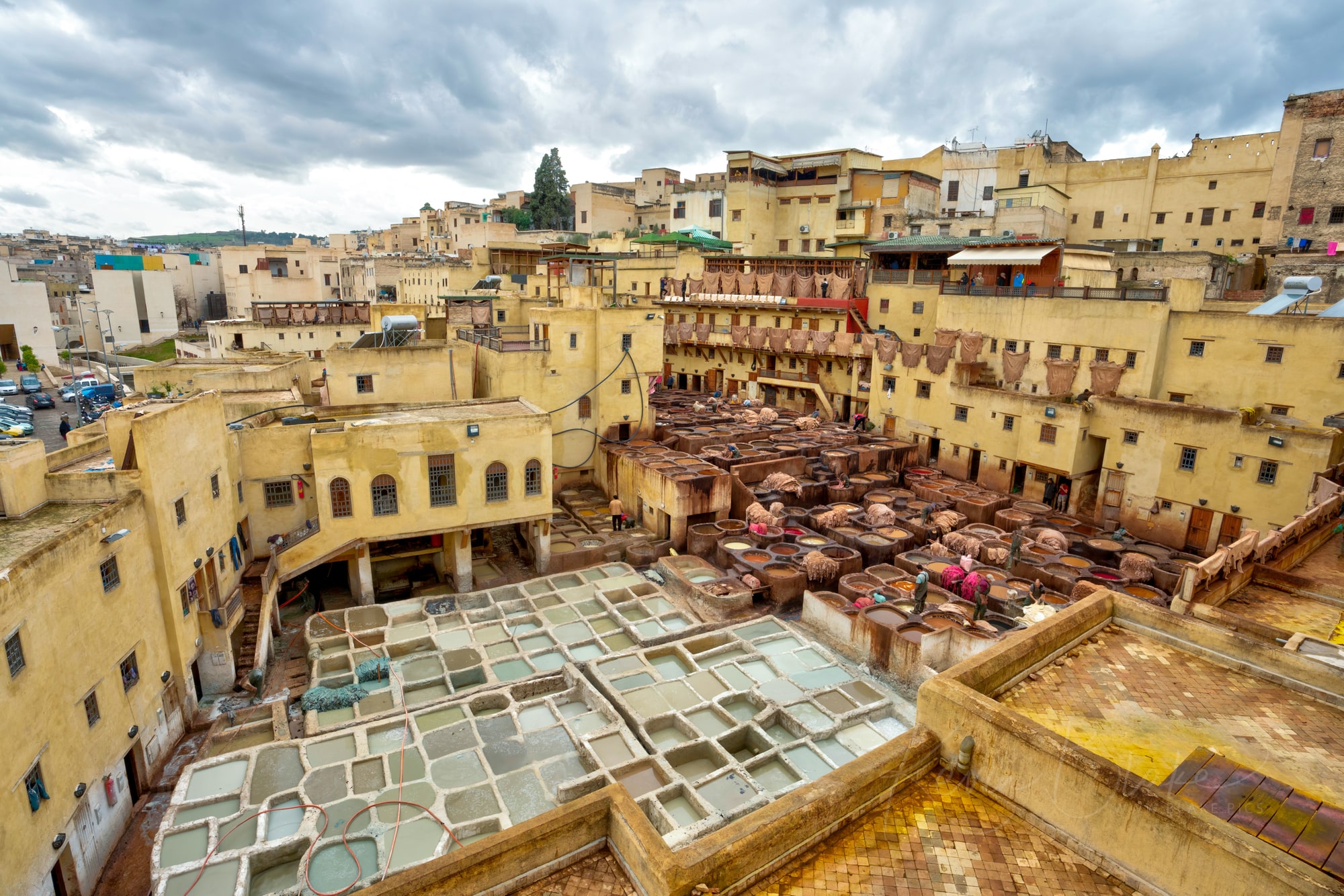 Chouara Tannery, Fez