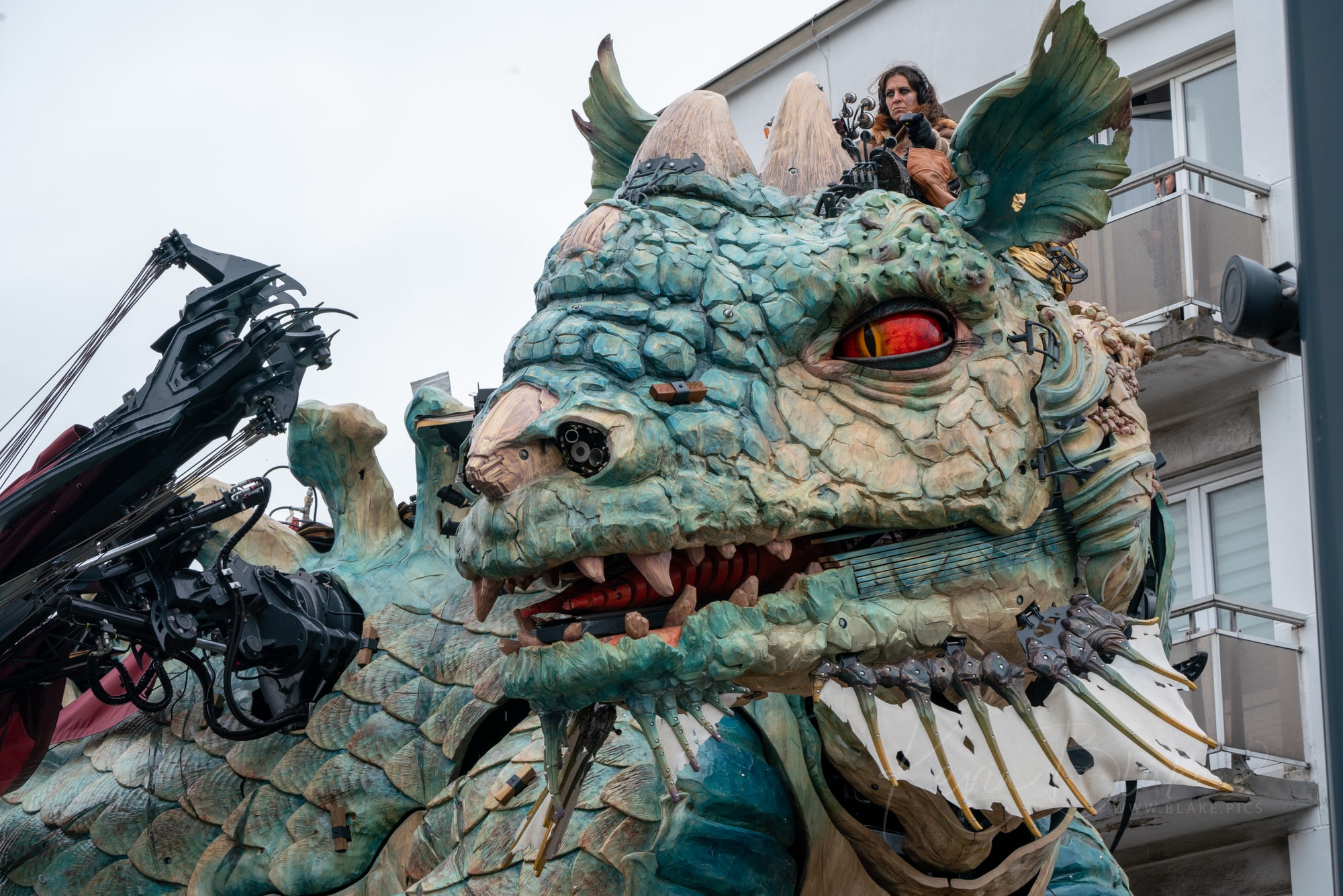 Calais Dragon 8